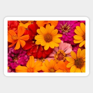 FLOWERS Magnet